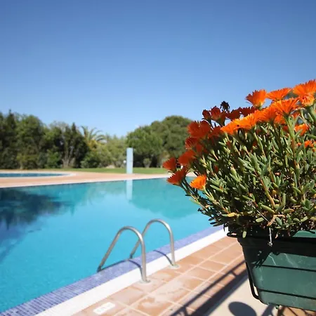 Sunny And Cozy Apartment, Azul By Trip2portugal